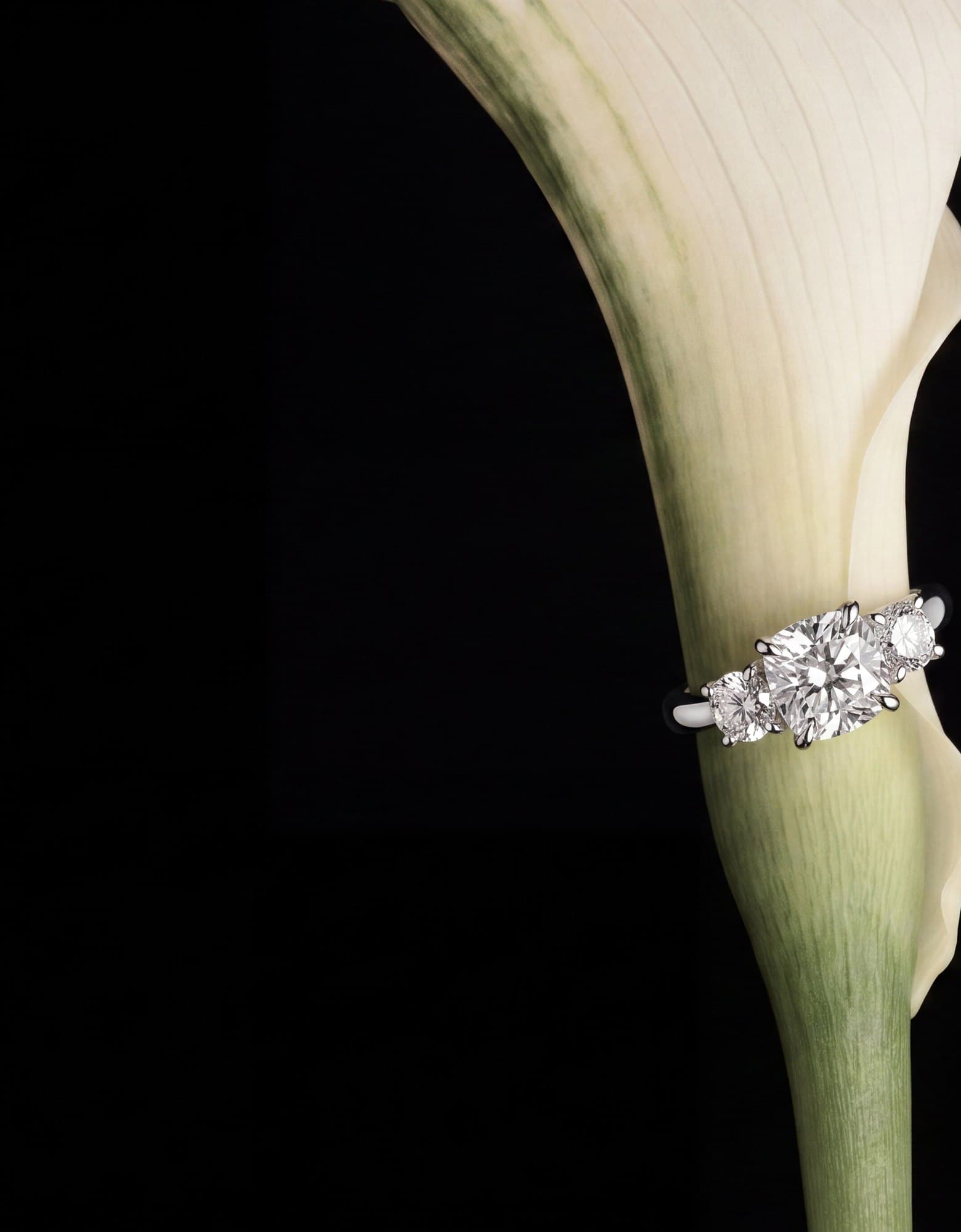 Diamantring med tre steiner på en hvit calla-lilje mot sort bakgrunn